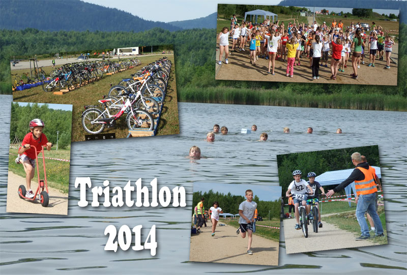 triathlon2014 collage mittel